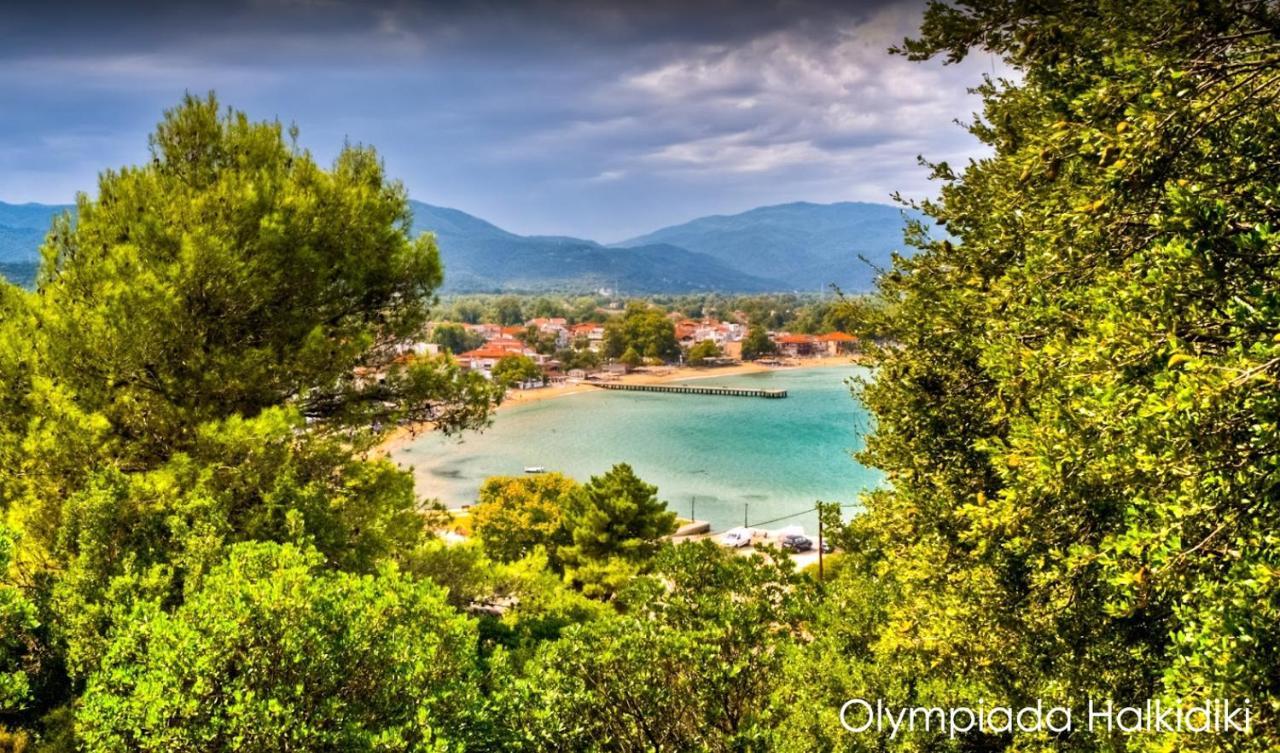 Mirini • Ancient Stagira Apts • Chalkidiki أوليمبياذا المظهر الخارجي الصورة