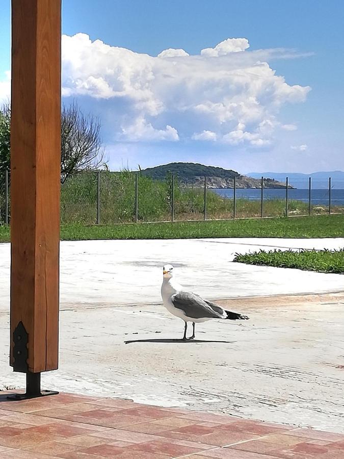 Mirini • Ancient Stagira Apts • Chalkidiki أوليمبياذا المظهر الخارجي الصورة