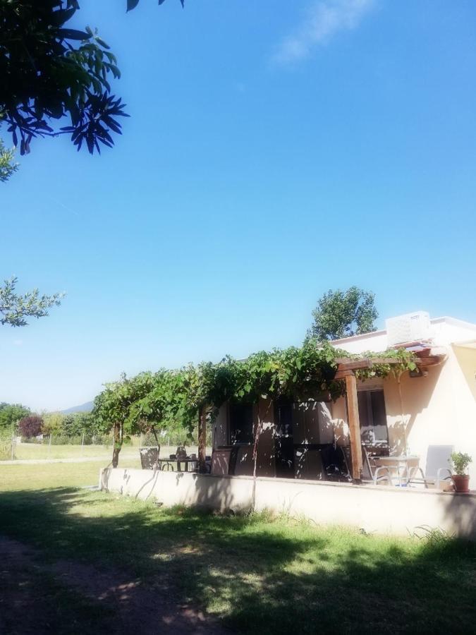 Mirini • Ancient Stagira Apts • Chalkidiki أوليمبياذا المظهر الخارجي الصورة