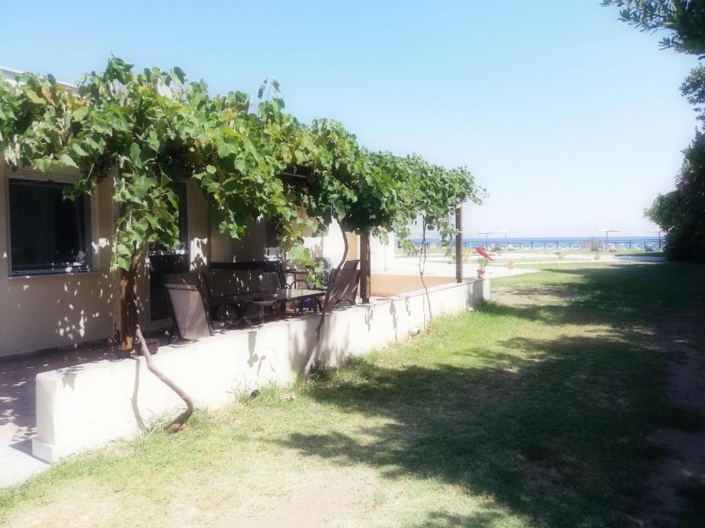 Mirini • Ancient Stagira Apts • Chalkidiki أوليمبياذا المظهر الخارجي الصورة